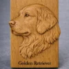 Golden Retriever Relief Golden Retriever Relief