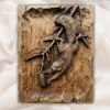 Squirrel Relief