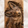 Fox Relief