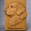 Golden Retriever Relief Golden Retriever Relief
