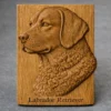 Labrador Relief