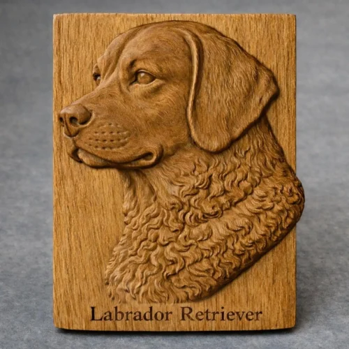 Labrador Relief