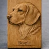 Beagle Relief Beagle Relief