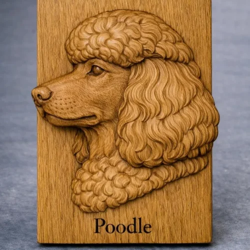 Poodle Relief Poodle Relief
