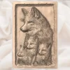 Fox Family Relief - Mother Fox & Kits