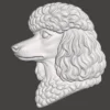 Poodle Relief Poodle Relief
