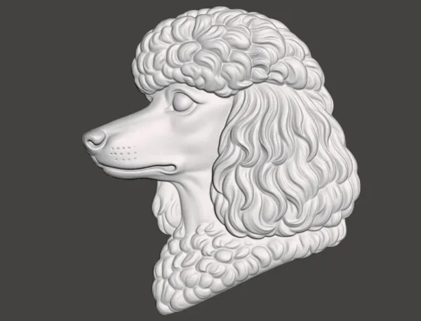 Poodle Relief Poodle Relief