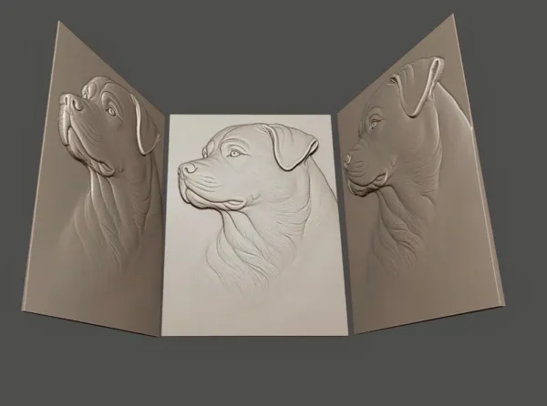 Rottweiler Relief