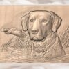 Retriever Dog