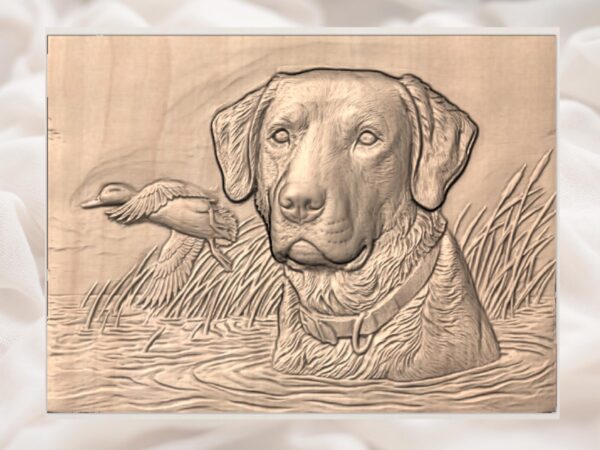 Retriever Dog