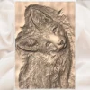 Fox Relief