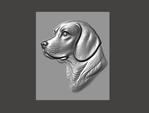 Beagle Relief Beagle Relief