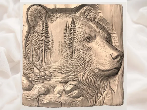 Bear Forest River Bear Forest River