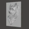 Yorkshire Terrier Relief Yorkshire Terrier Relief
