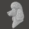 Poodle Relief Poodle Relief