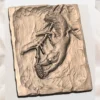 Squirrel Relief