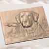Retriever Dog