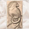 Hawk With Snake