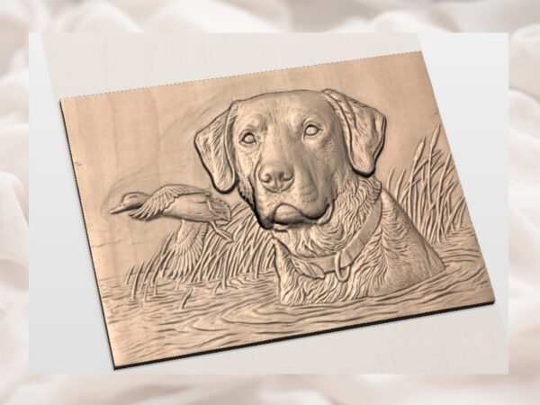 Retriever Dog