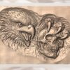 Eagle Skull Relief Eagle Skull Relief