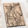 Cowgirl & Horse