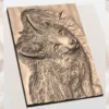 Fox Relief
