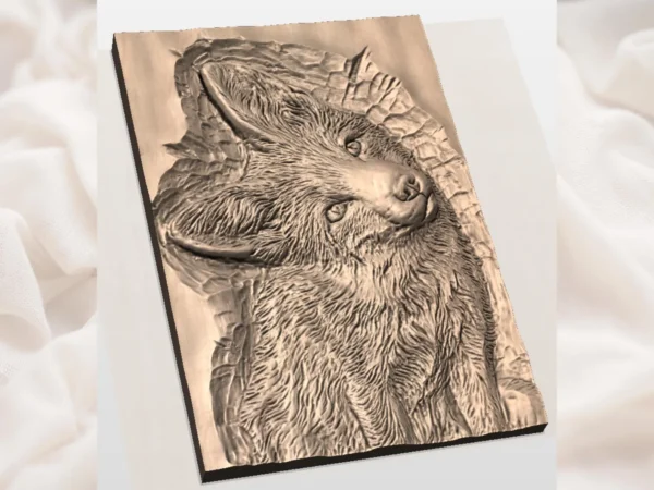 Fox Relief