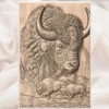 Native Buffalo Relief Native Buffalo Relief