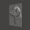 Beagle Relief Beagle Relief