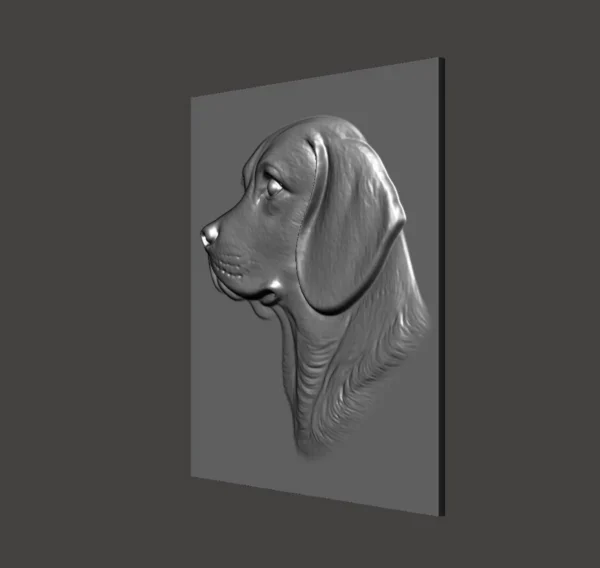 Beagle Relief Beagle Relief