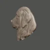 Golden Retriever Relief Golden Retriever Relief