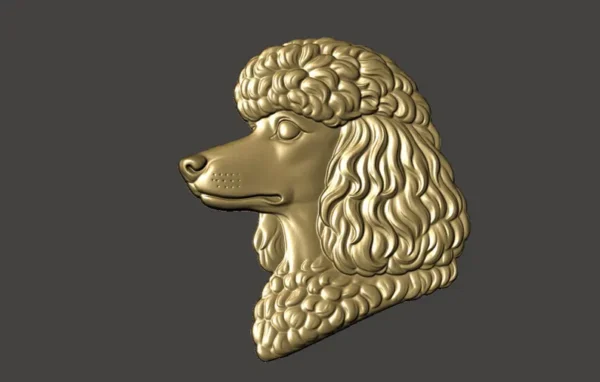 Poodle Relief Poodle Relief