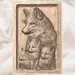 Fox Family Relief - Mother Fox & Kits